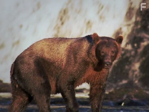 North America (2013)