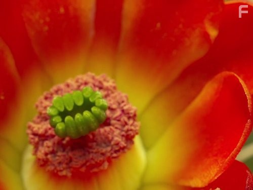 North America (2013)