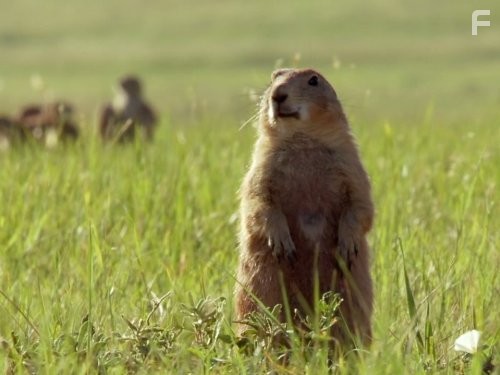 North America (2013)