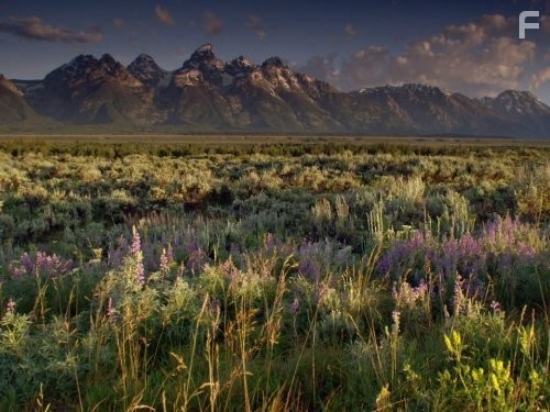 North America (2013)