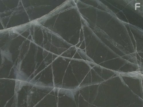 Дикий Китай (2008)