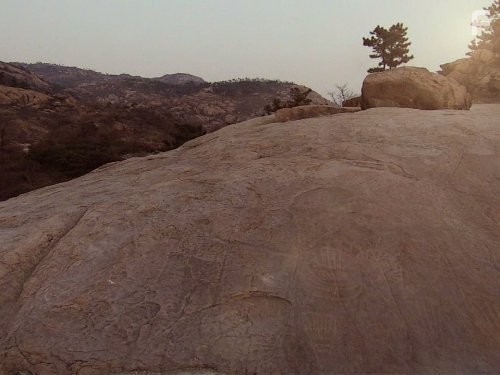 Дикий Китай (2008)