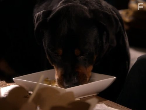 Живая мишень (2010)