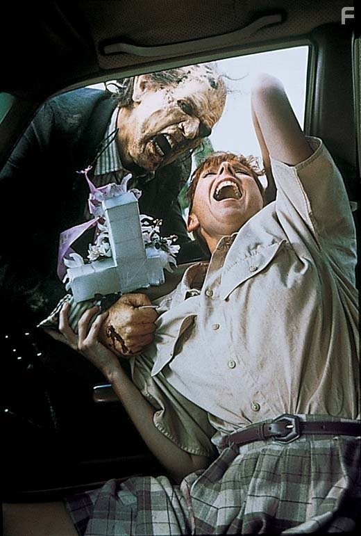 Greg Funk and Patricia Tallman in Ночь живых мертвецов (1990)