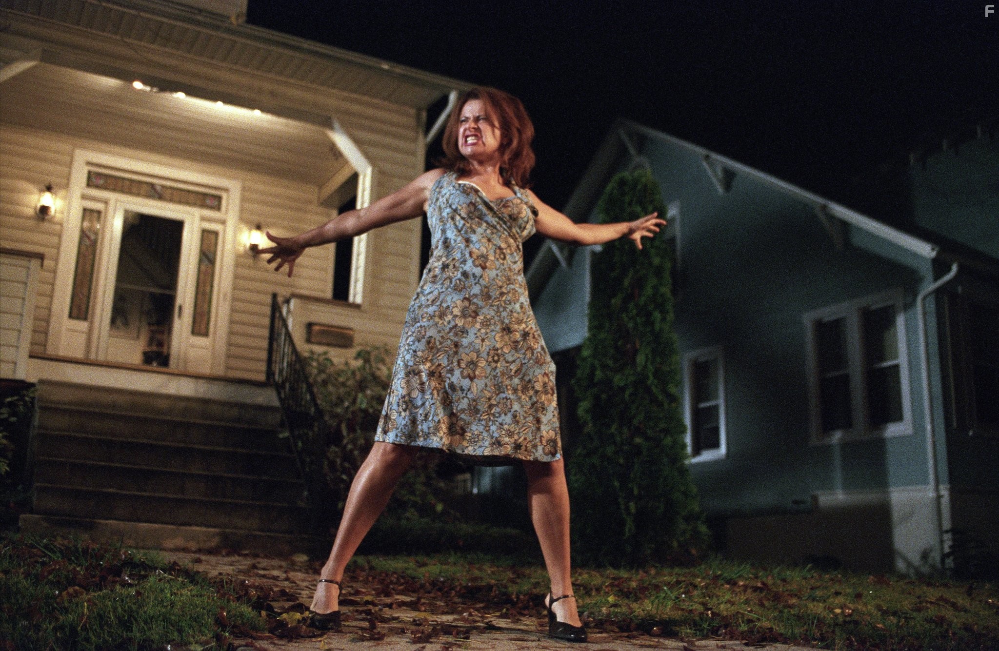 Tracey Ullman in Грязный стыд (2004)