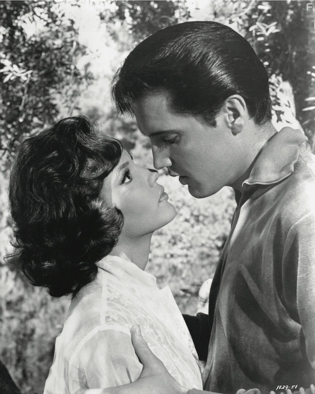 Elvis Presley and Mary Ann Mobley in Счастлив с девушкой (1965)