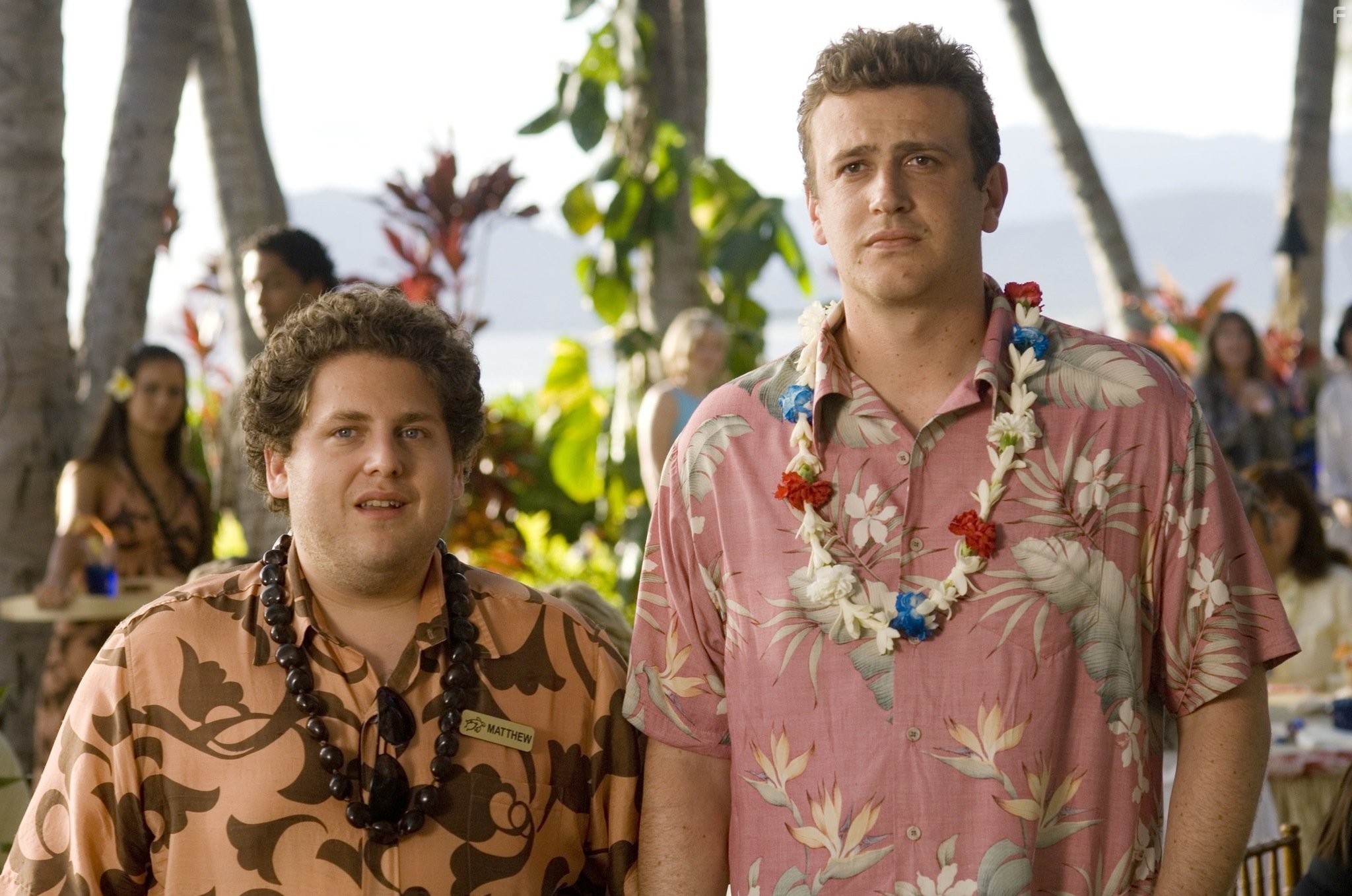 Jason Segel and Jonah Hill in В пролёте (2008)
