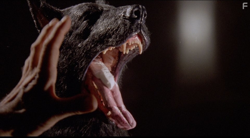 Вкусная дрянь (1985)