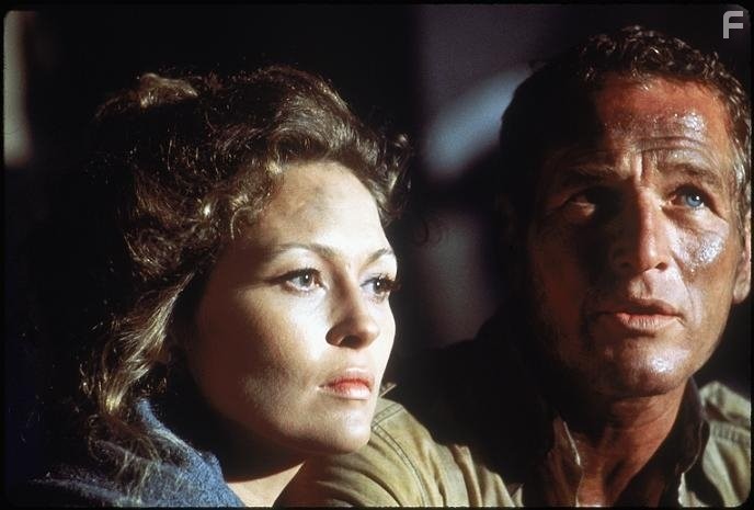 Paul Newman and Faye Dunaway in Yздымaющийся ад (1974)