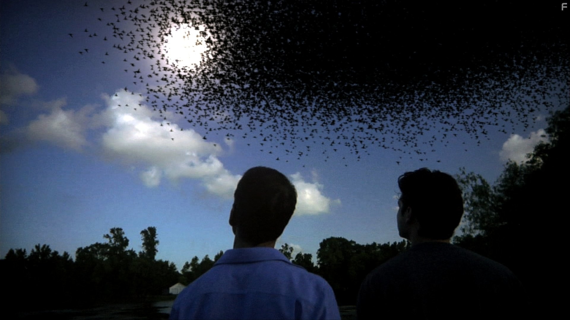 Хроника Судного дня (2010)