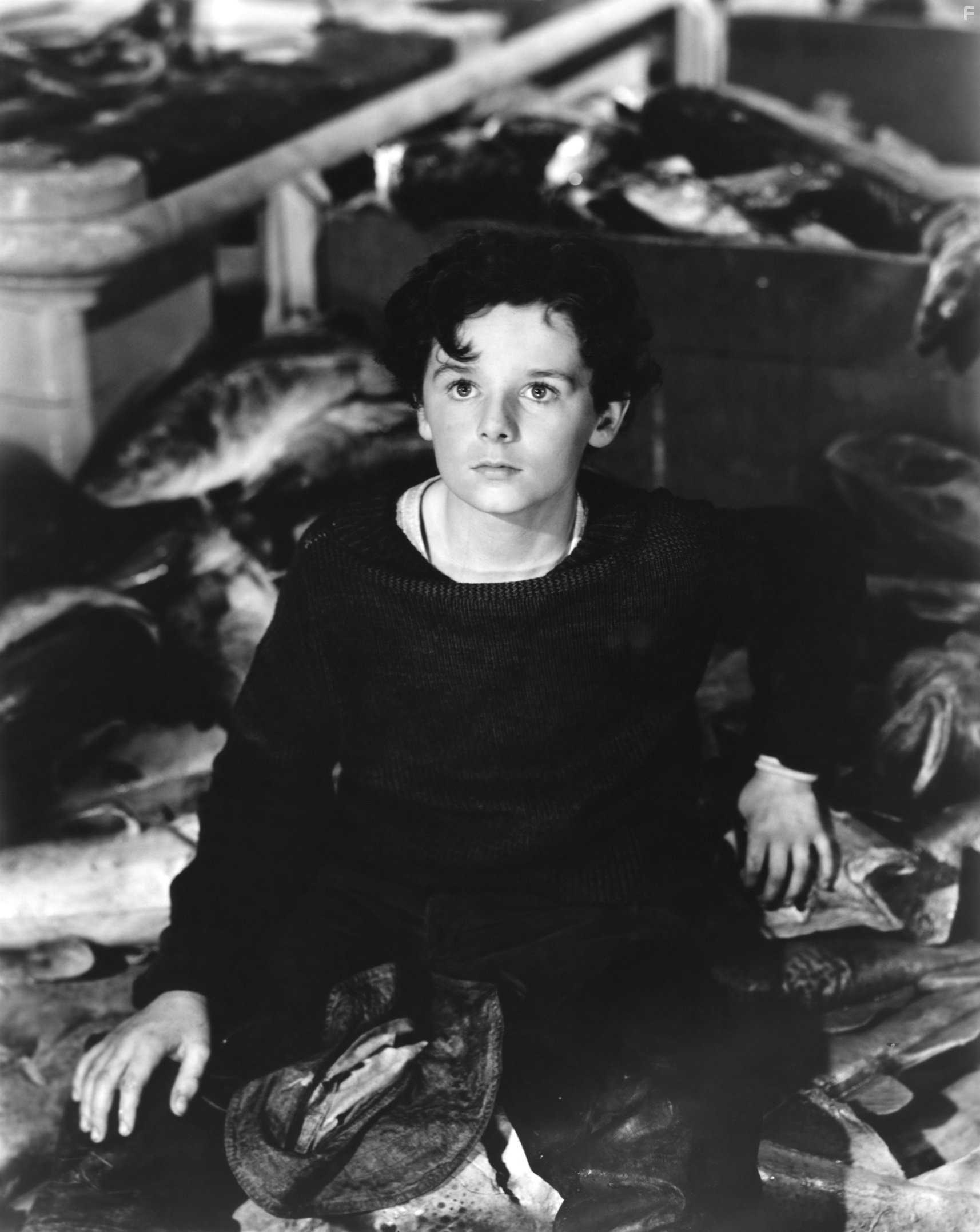 Freddie Bartholomew in Отважные капитаны (1937)