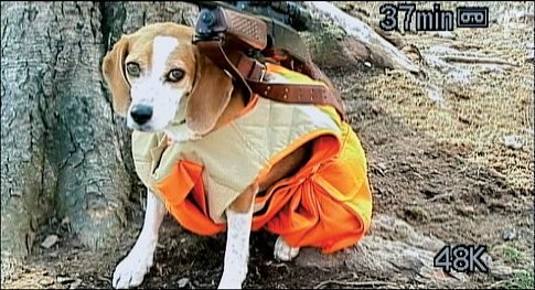 Боулинг для Колумбины (2002)