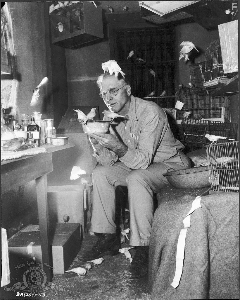 Burt Lancaster in Любитель птиц из Алькатраса (1962)