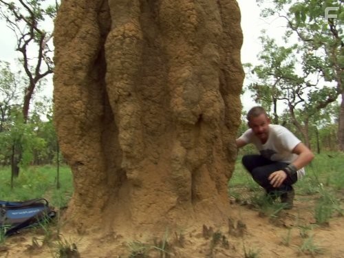 Wild Things with Dominic Monaghan (2012)