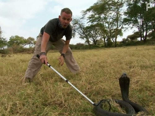 Wild Things with Dominic Monaghan (2012)