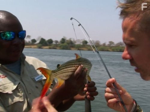 Wild Things with Dominic Monaghan (2012)