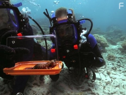 Wild Things with Dominic Monaghan (2012)