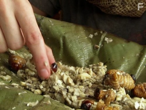 Wild Things with Dominic Monaghan (2012)