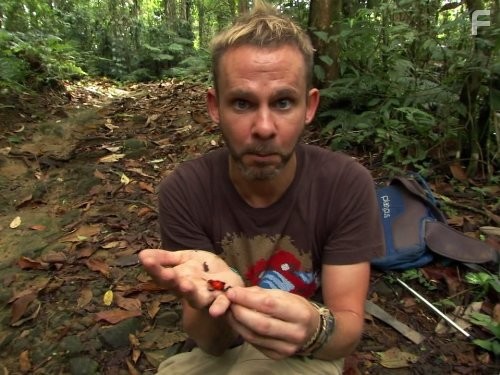 Wild Things with Dominic Monaghan (2012)