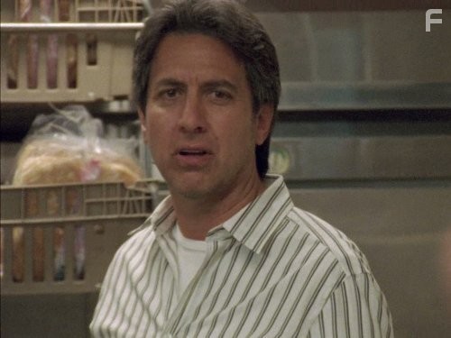 Ray Romano in Мужчины среднего возраста (2009)