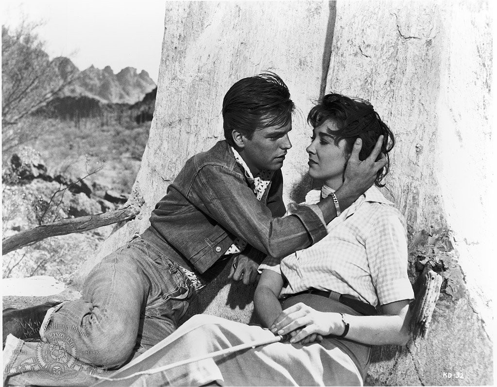 Robert Wagner and Virginia Leith in Поцелуй перед смертью (1956)