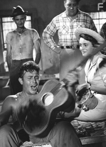 "A Face In The Crowd" Andy Griffith & Patricia Neal 1957 Warner Bros.