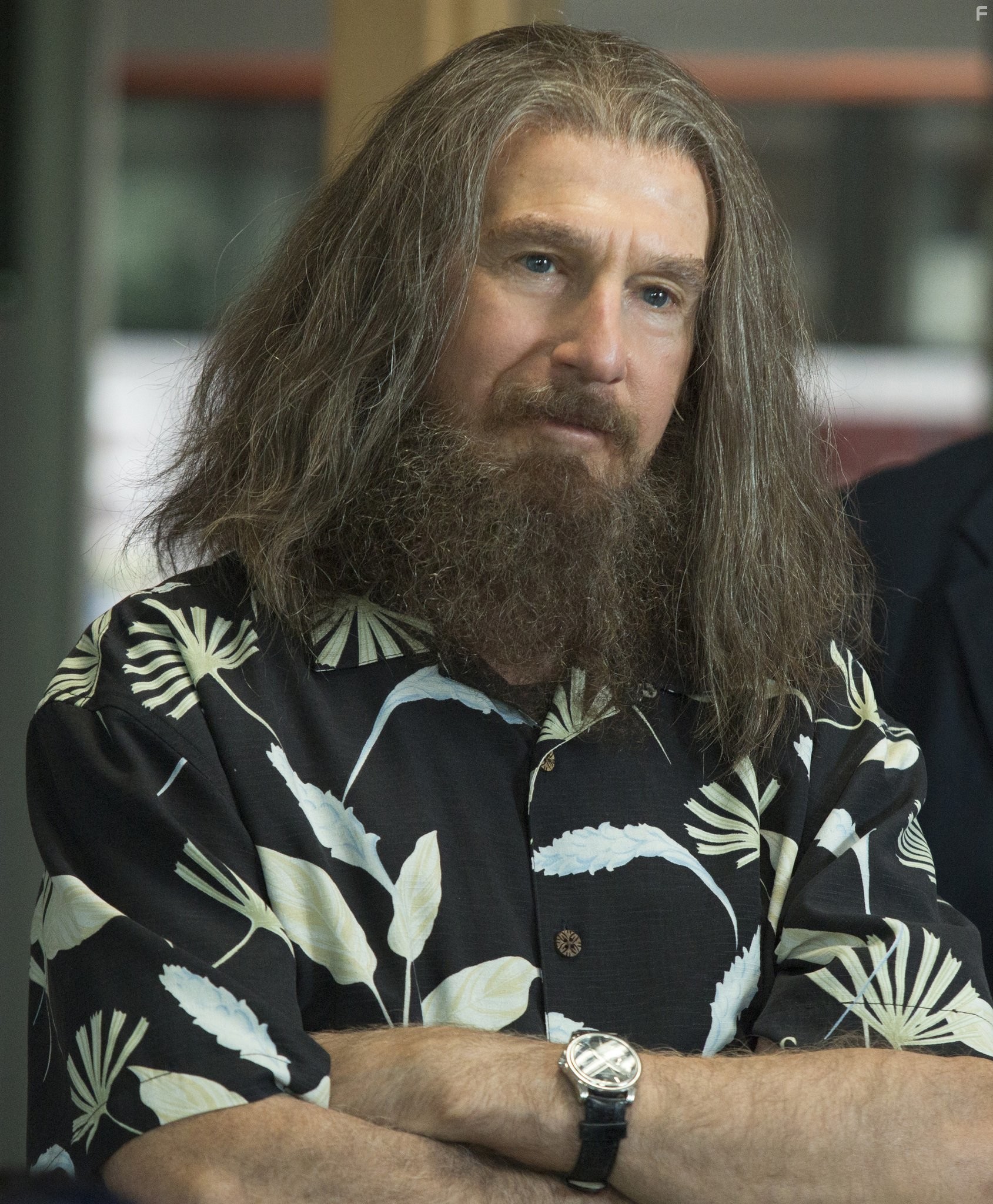 Larry David in Завершить историю (2013)