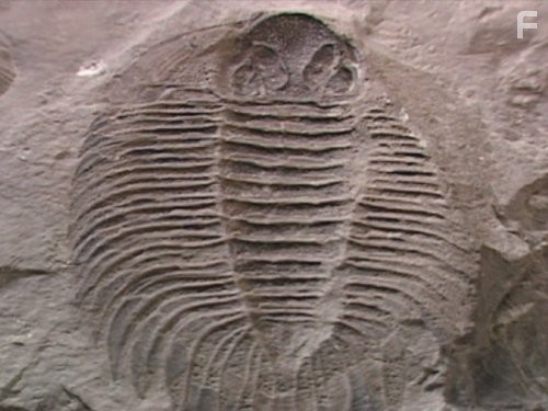 Вселенная (2007)