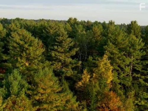 Вселенная (2007)