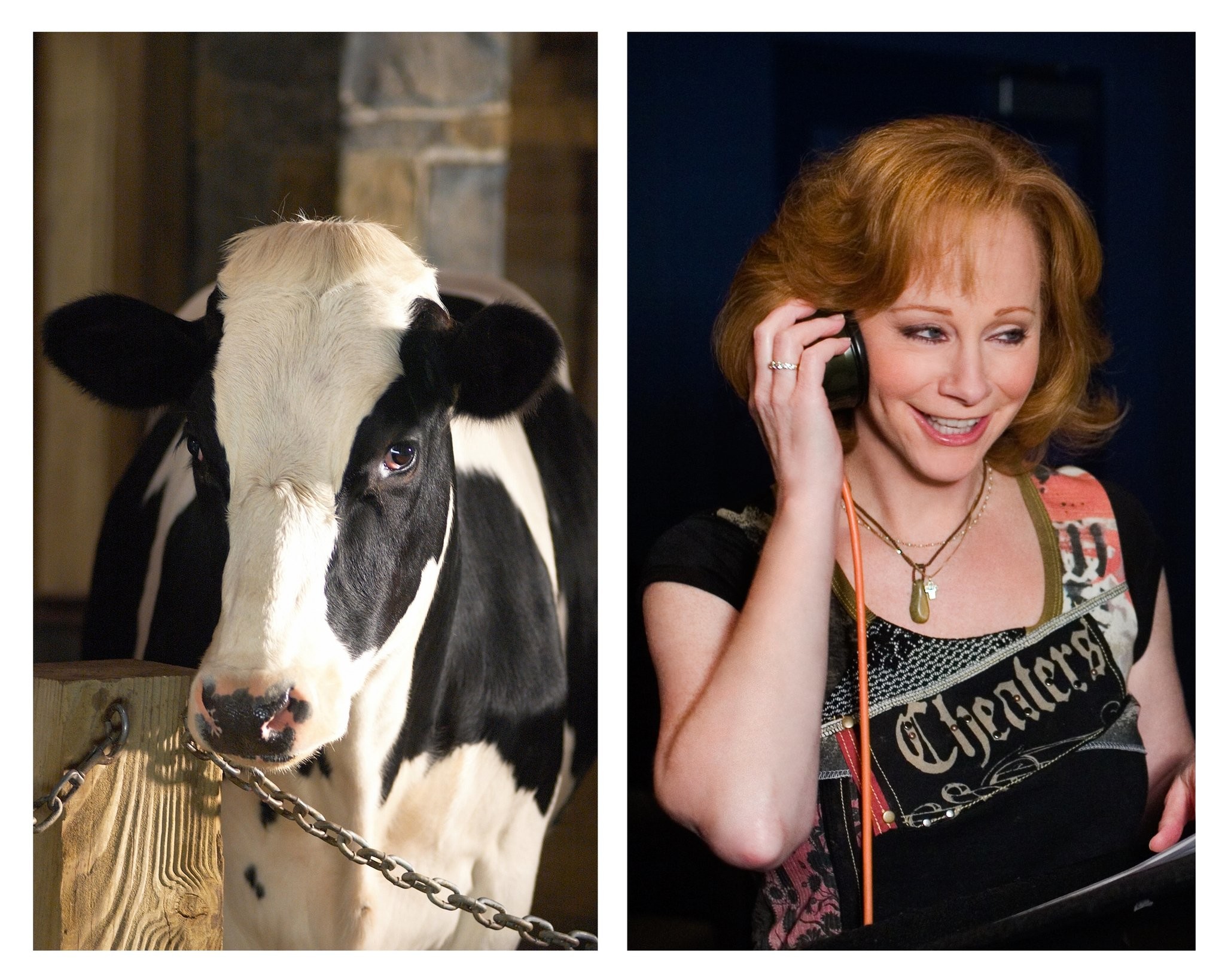 Reba McEntire in Паутина Шарлотты (2006)