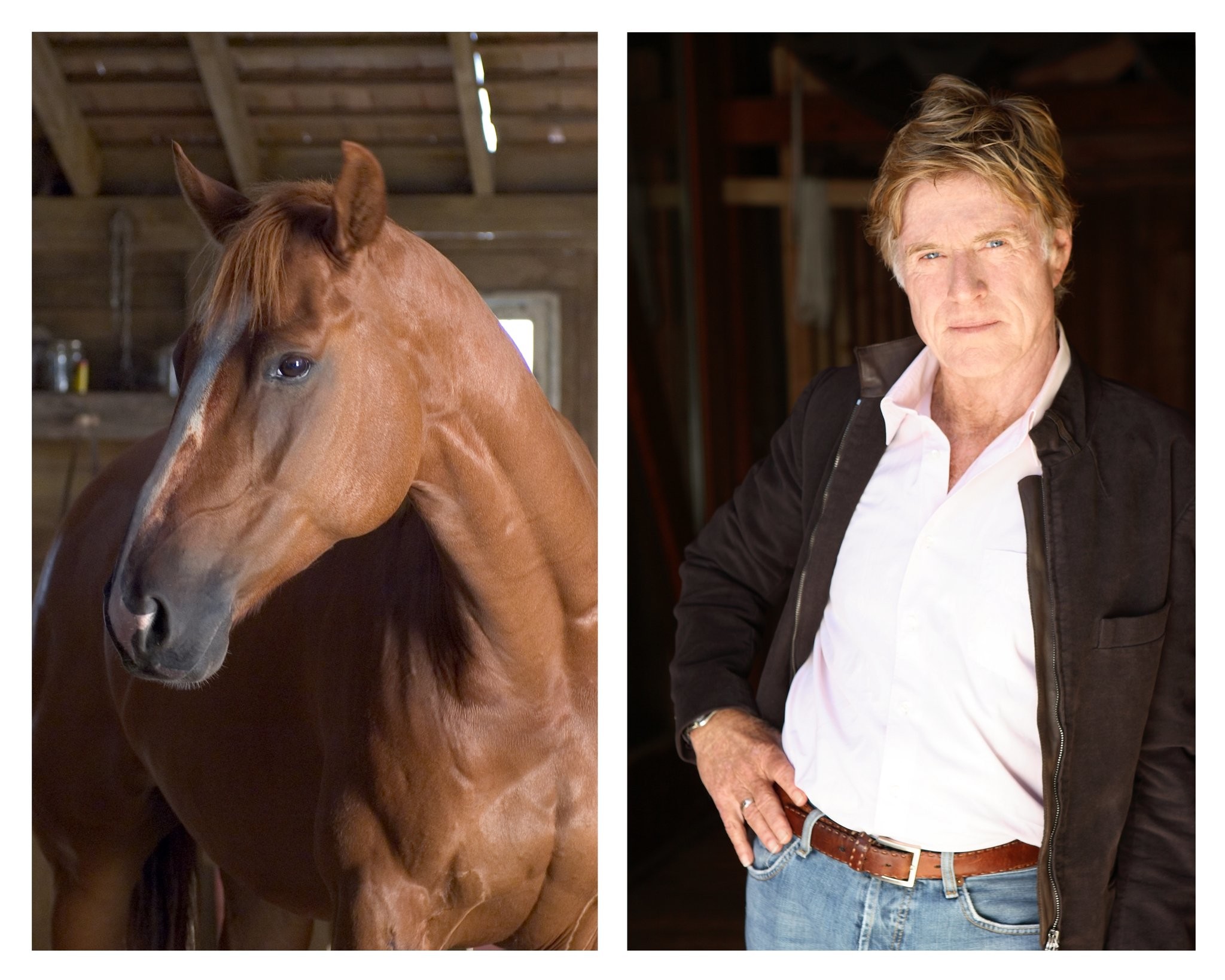 Robert Redford in Паутина Шарлотты (2006)