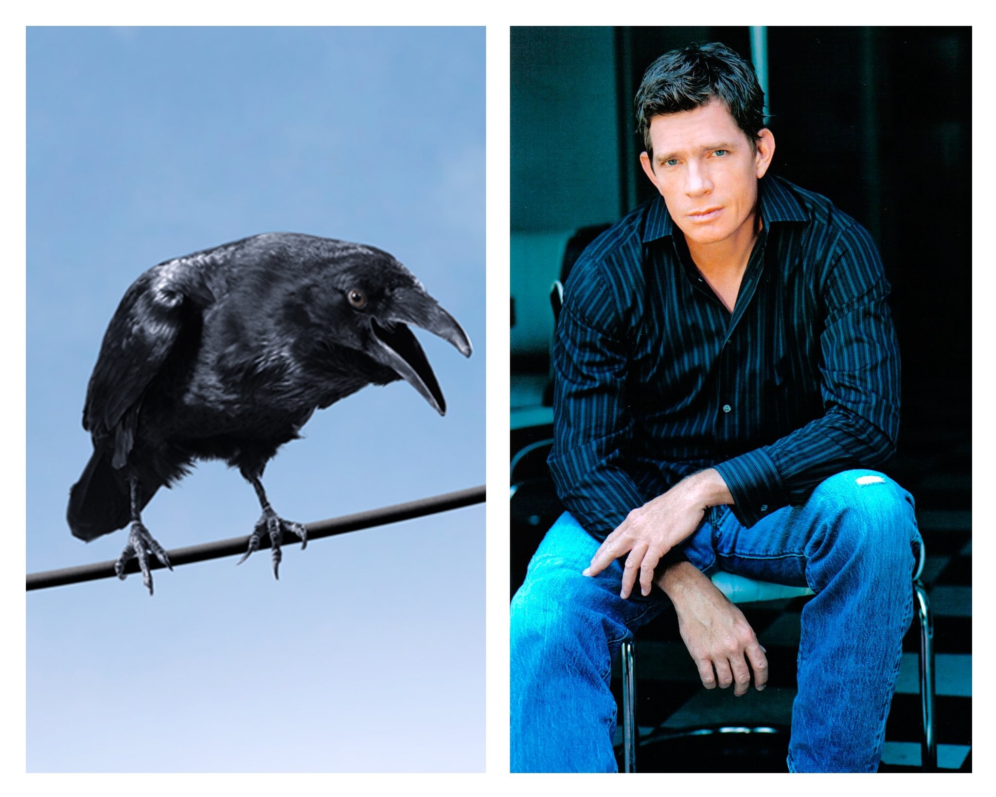 Thomas Haden Church in Паутина Шарлотты (2006)