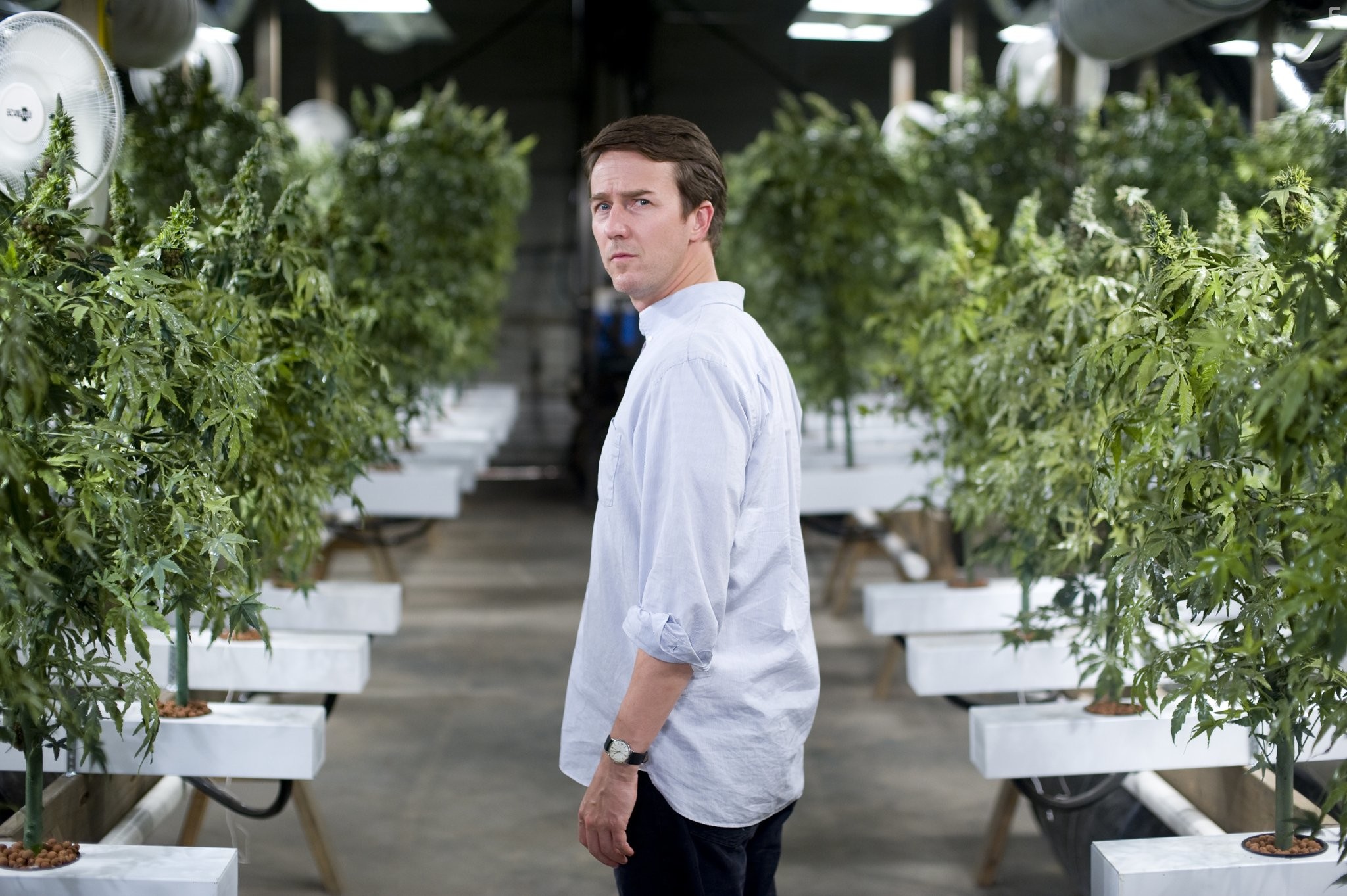 Edward Norton in Травка (2009)