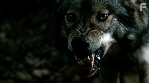 Кровь и шоколад (2007)