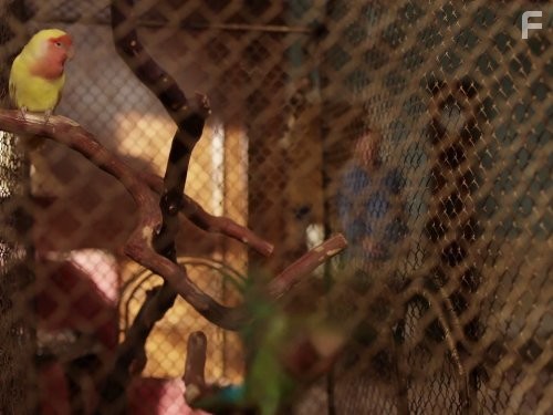 Худшая неделя моей жизни (2008)