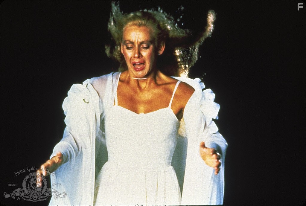 Леди в белом (1988)