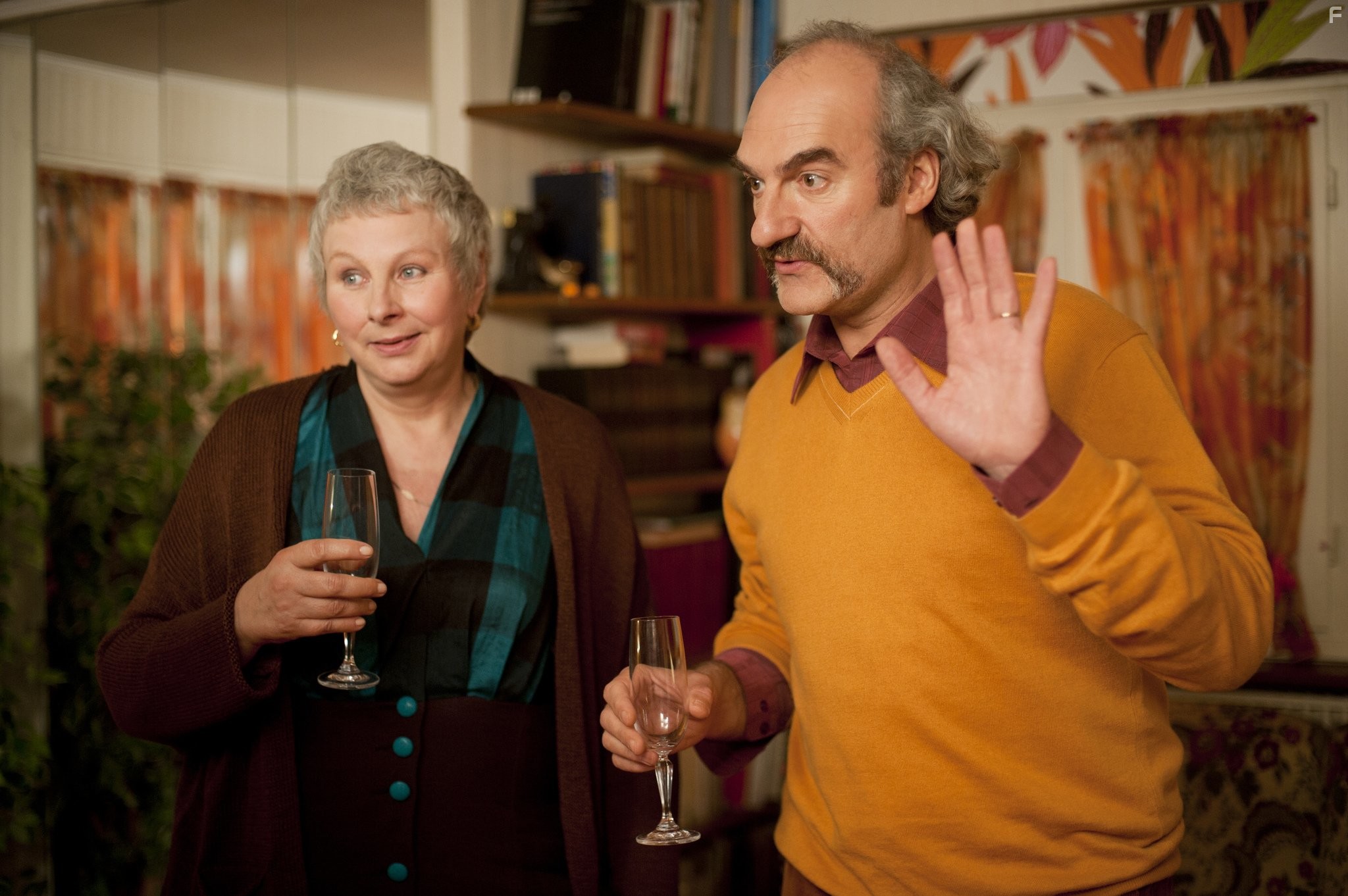 Yolande Moreau and Michel Vuillermoz in Двойная жизнь Камиллы (2012)
