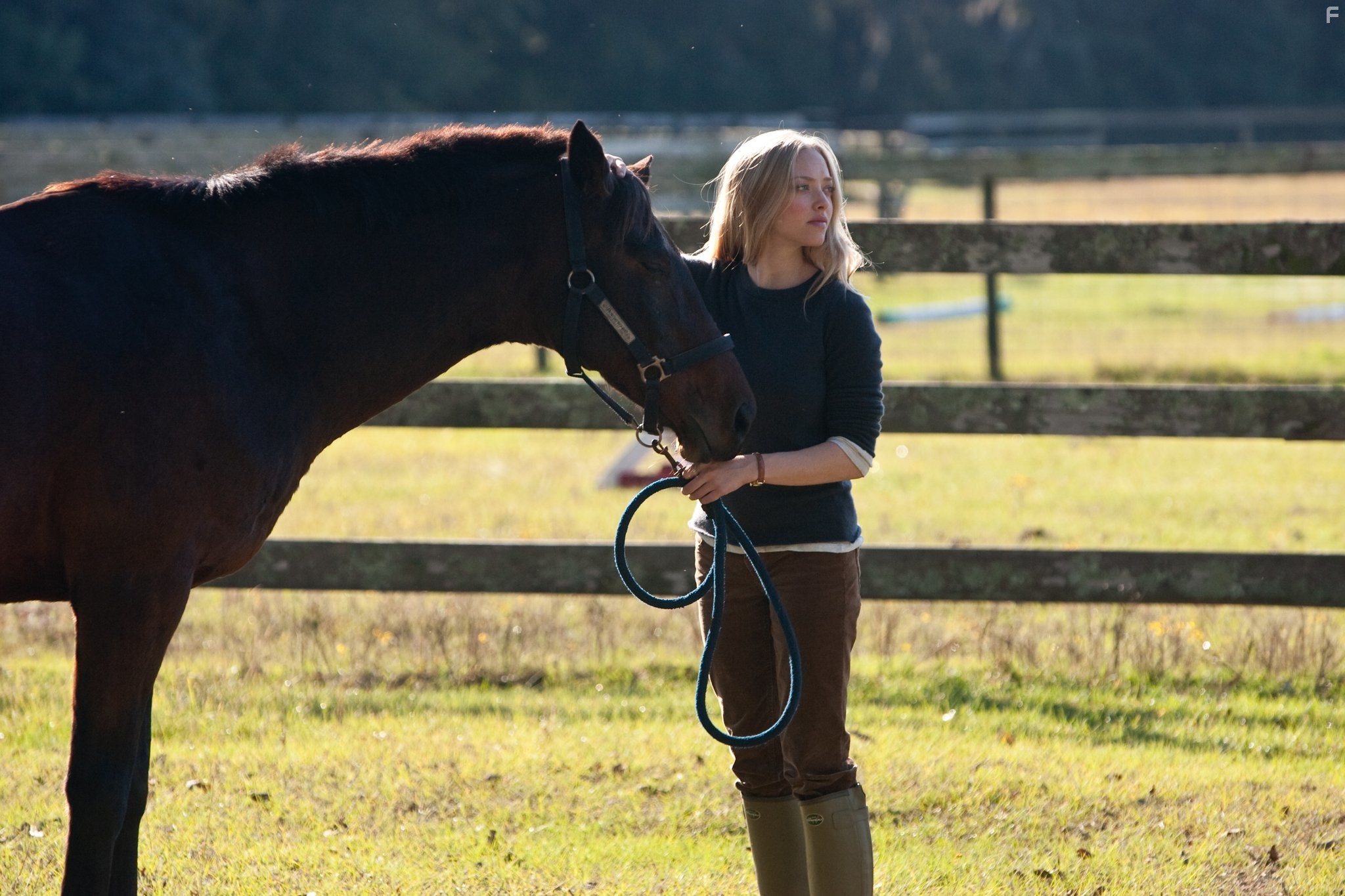 Amanda Seyfried in Дорогой Джон (2010)