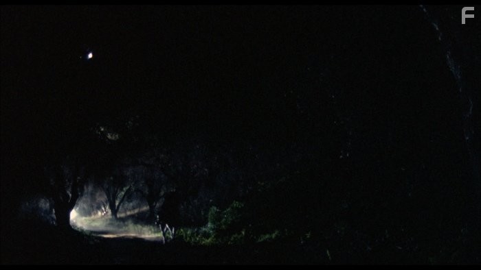 Ghost Warrior (1984)