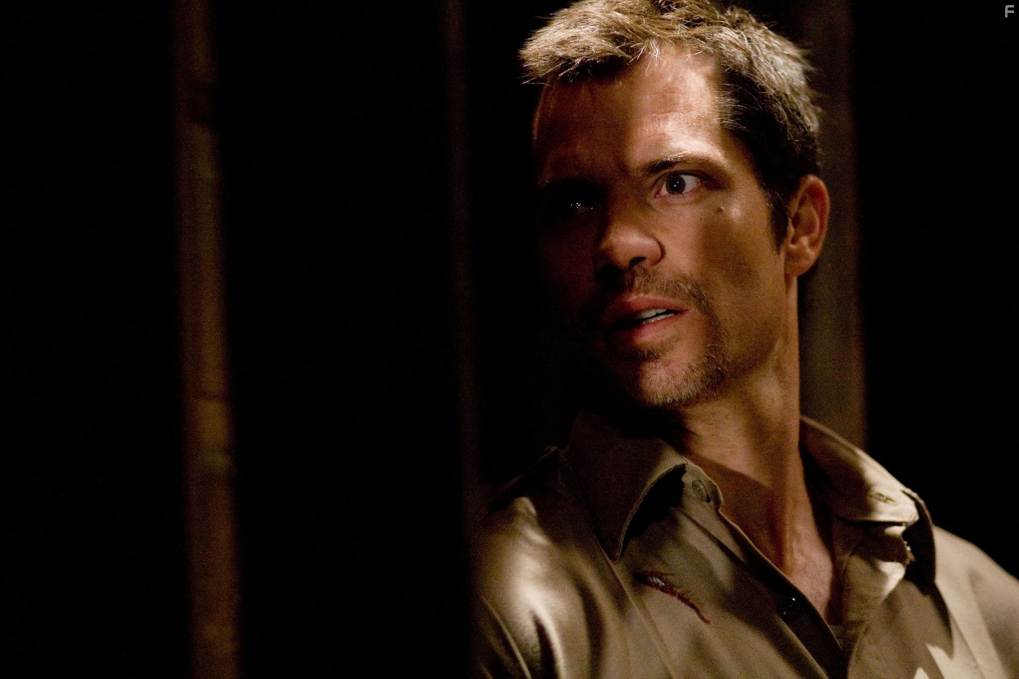 Timothy Olyphant in Безумцы (2010)