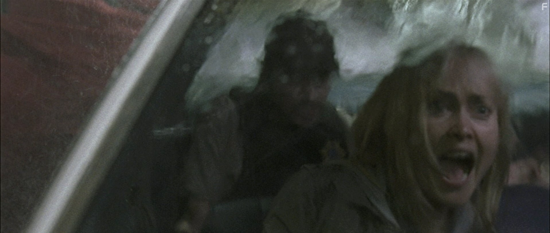 Radha Mitchell in Безумцы (2010)