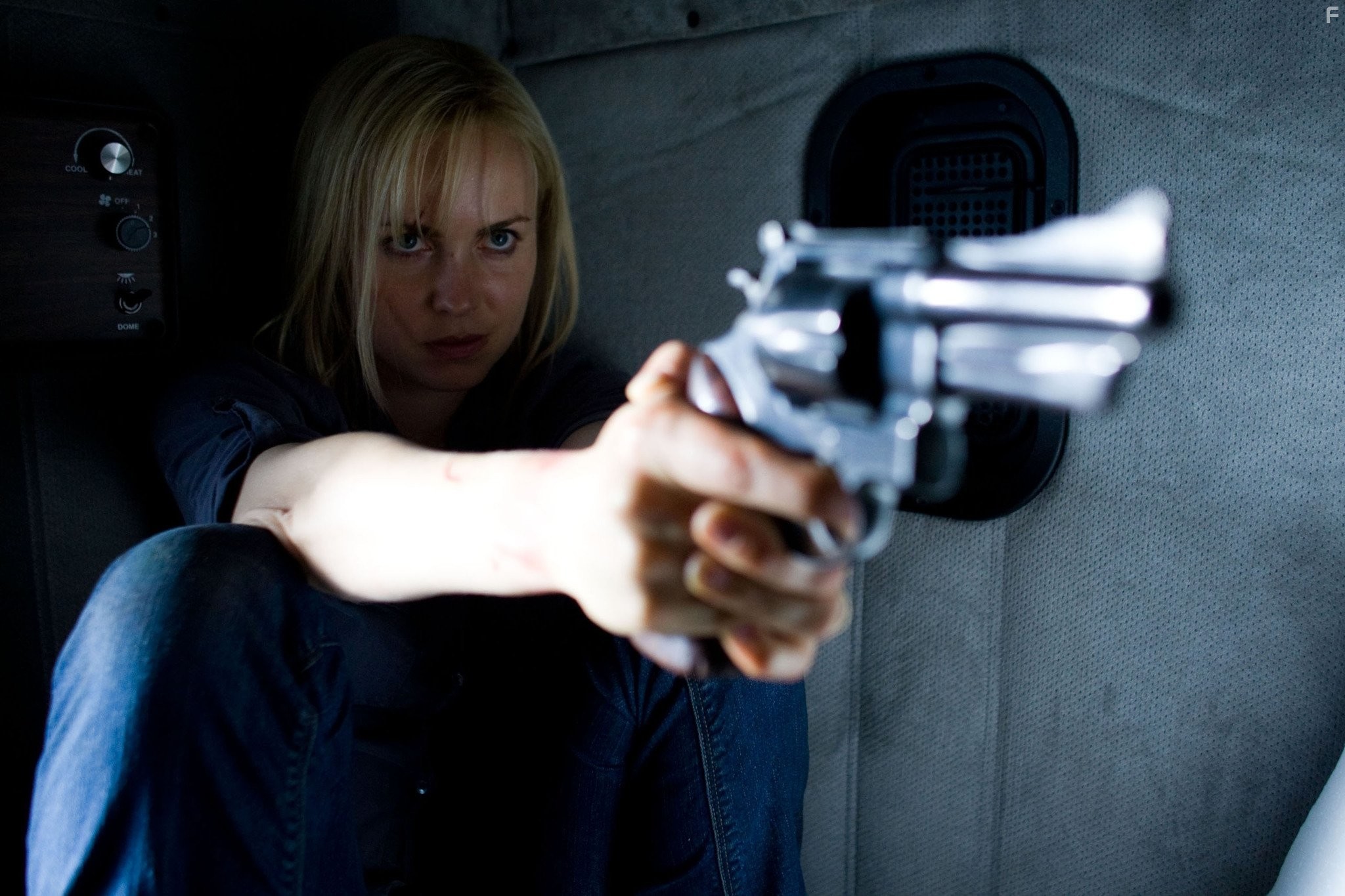 Radha Mitchell in Безумцы (2010)