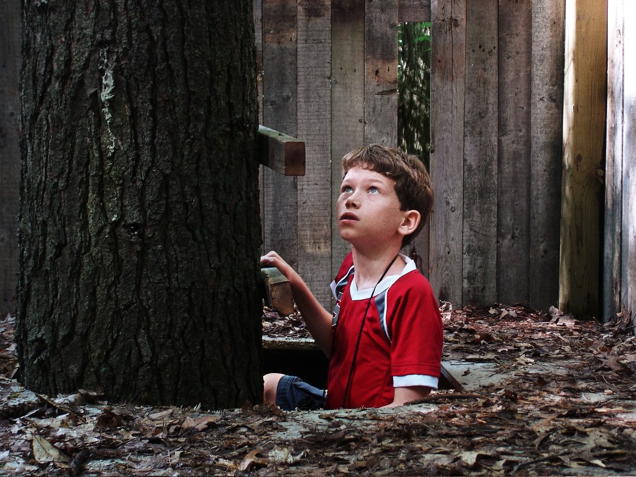 Tommy Nelson in Потомок (2009)