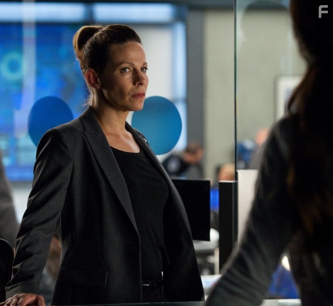 Lili Taylor in Почти человек (2013)