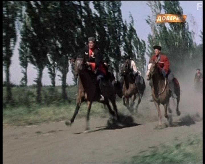 Кубанские казаки #15