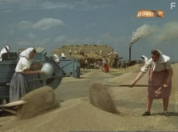 Кубанские казаки #21