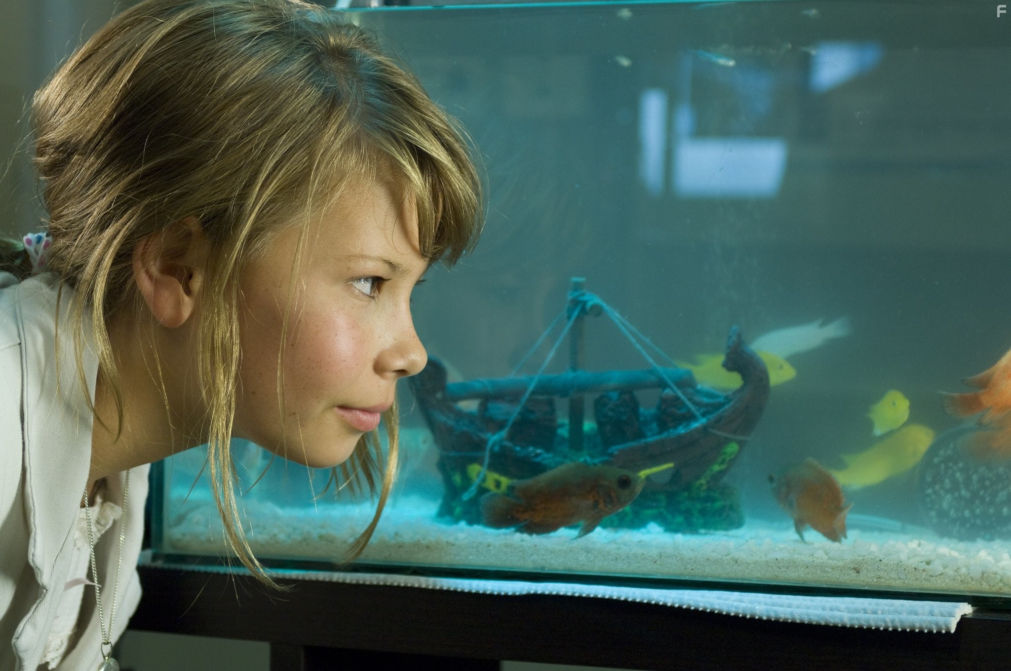 Bindi Irwin in Free Willy: Escape from Pirate's Cove (2010)