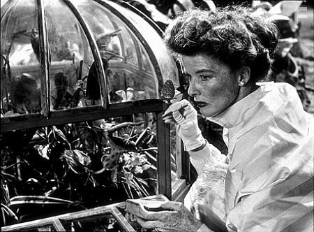 3756-6 Katharine Hepburn in "Suddenly Last Summer" 1959 Columbia