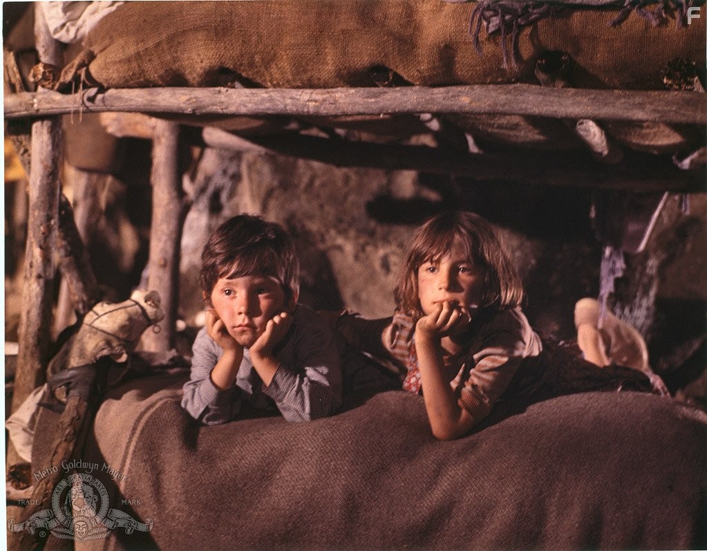 Hornets' Nest (1970)