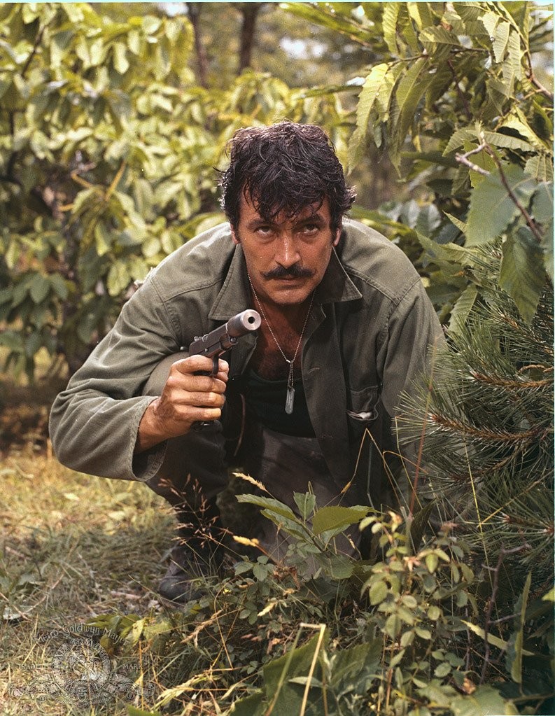 Rock Hudson in Hornets' Nest (1970)